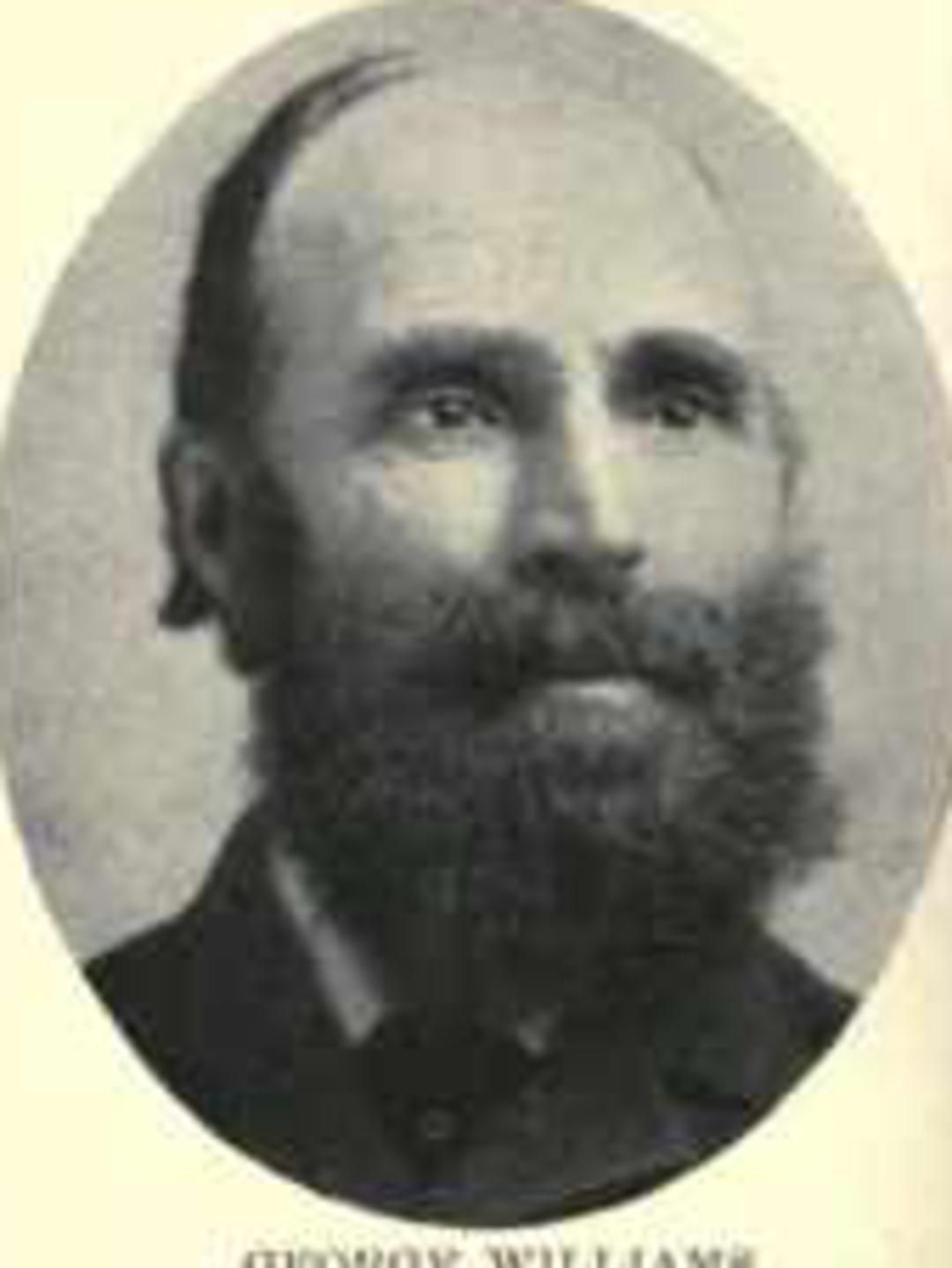 George H. Williams (1828 - 1904) Profile